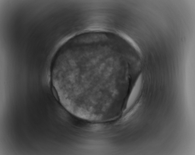 X0000092031461200710041053