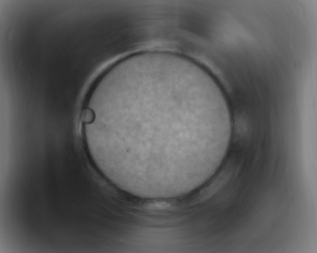 X0000092031462200710041053