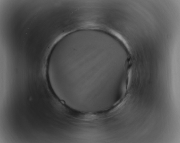 X0000092031463200710041053