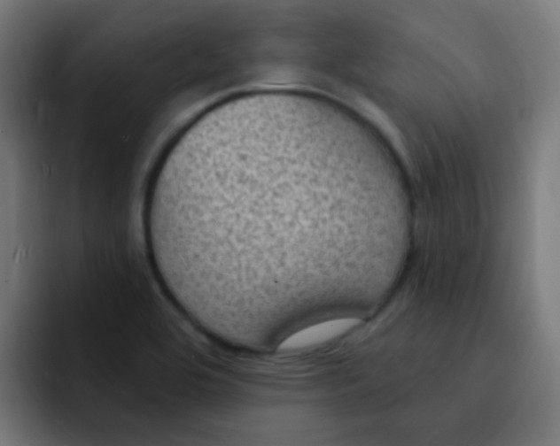 X0000092031464200710041053