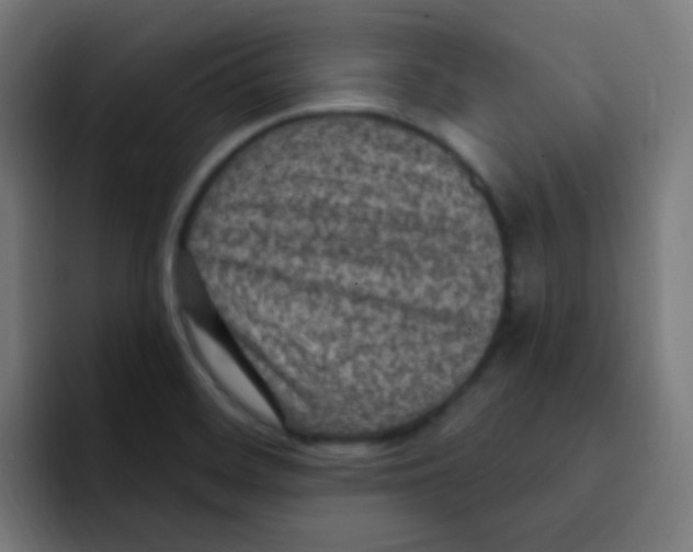 X0000092031468200710041053