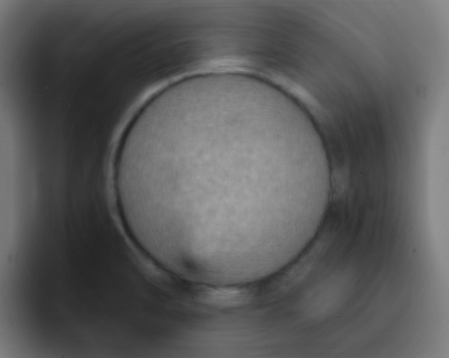 X0000092031470200710041052