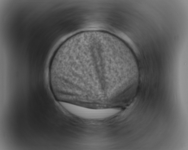 X0000092031472200710041052