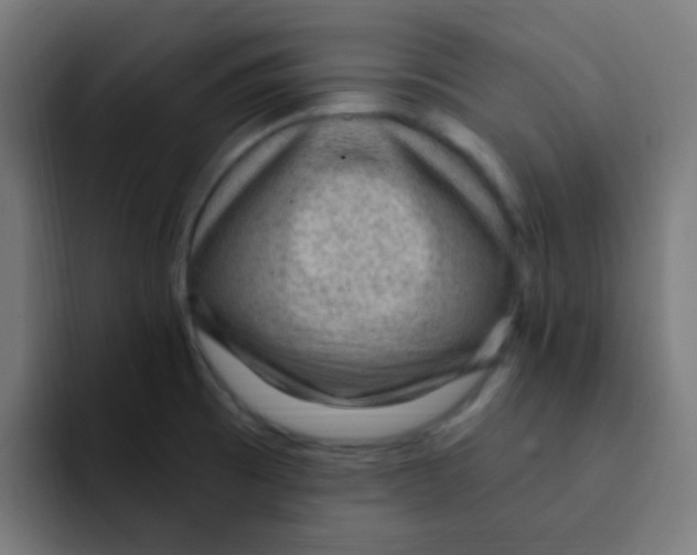 X0000092031473200710041052