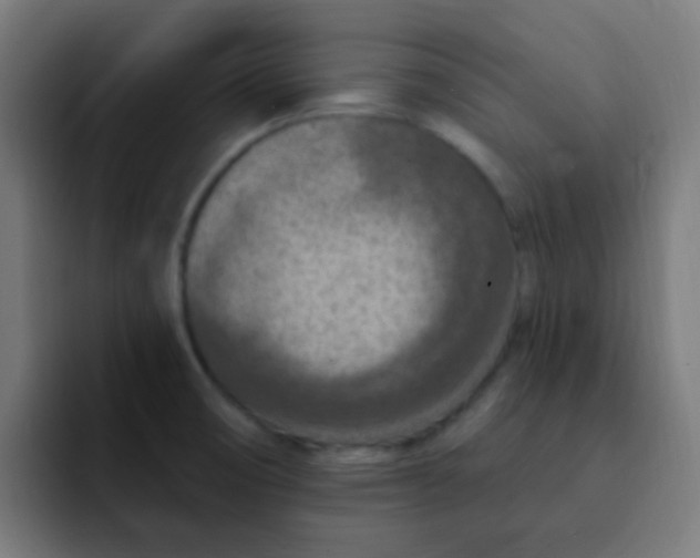 X0000092031474200710041052