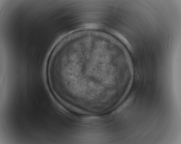 X0000092031475200710041052