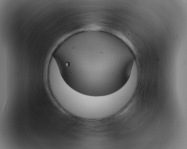 X0000092031477200710041052