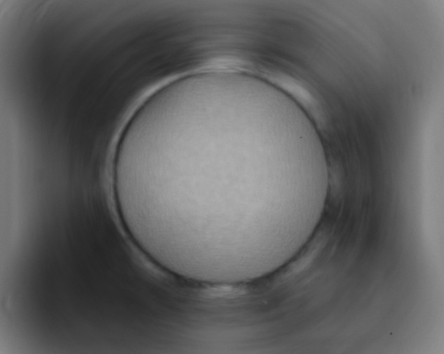 X0000092031478200710041052