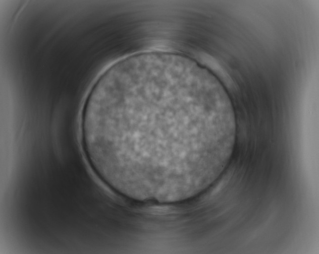 X0000092031479200710041052