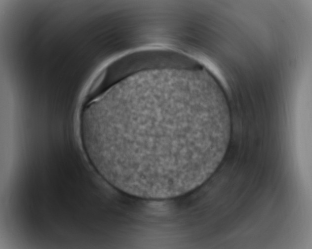 X0000092031480200710041052