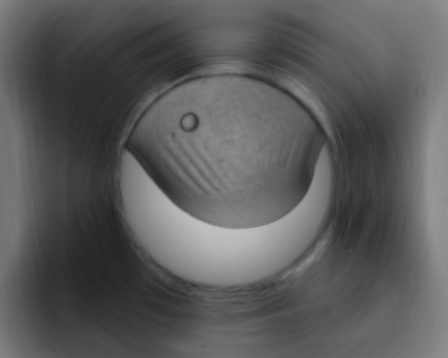 X0000092031481200710041052