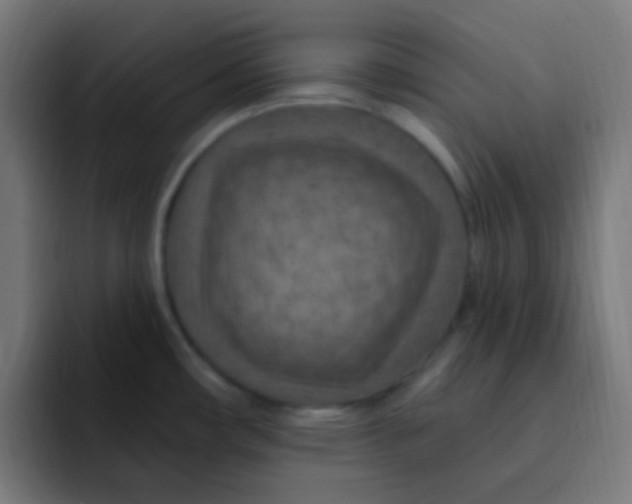 X0000092031482200710041052