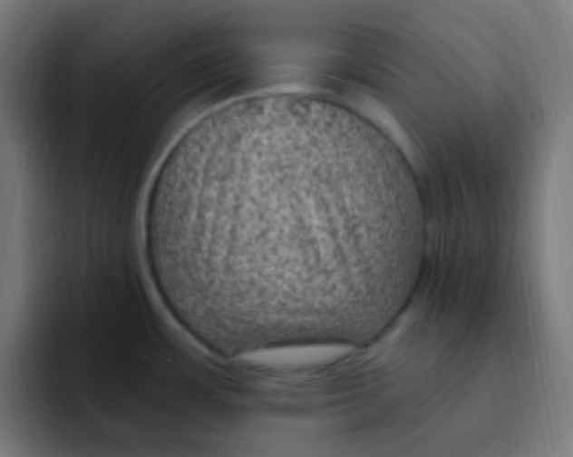 X0000092031483200710041052