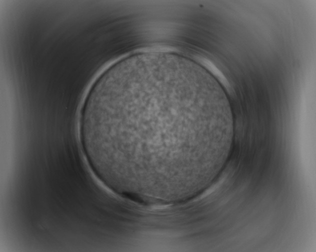 X0000092031484200710041052