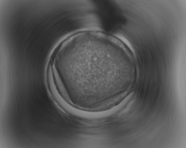 X0000092031485200710041052