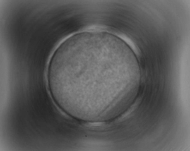 X0000092031486200710041052