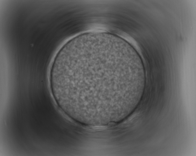 X0000092031488200710041052