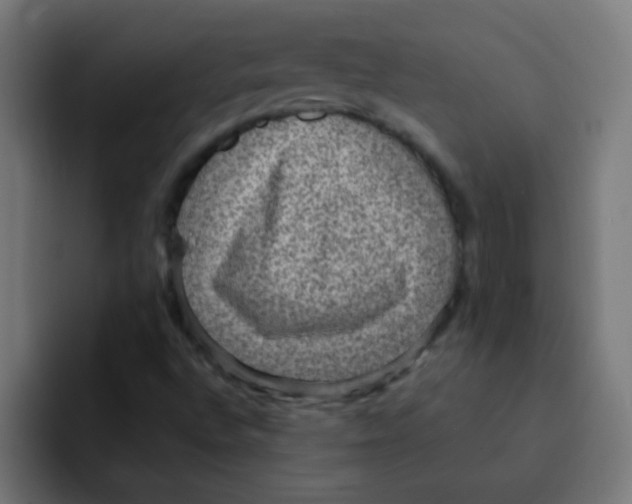 X0000092031496200710041052