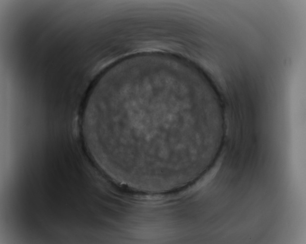 X0000092031497200710041052