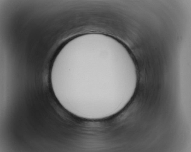 X0000092031499200710041052