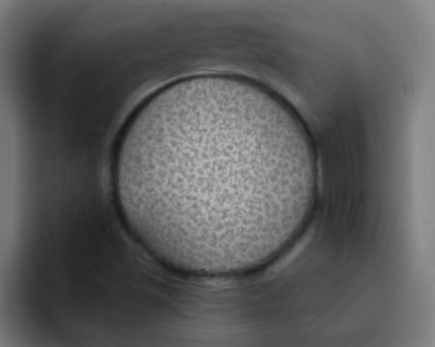 X0000092031501200710041052