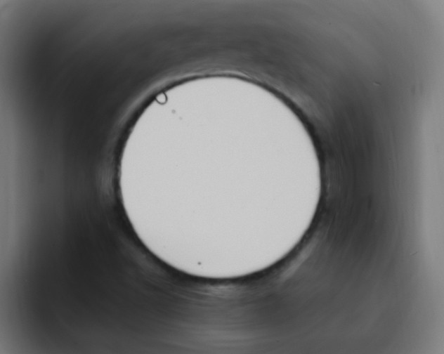 X0000092031502200710041052