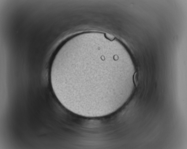 X0000092031503200710041052