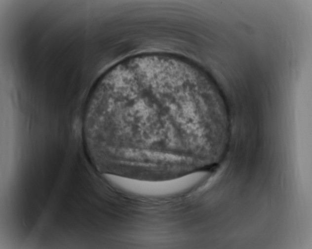 X0000092031505200710041052