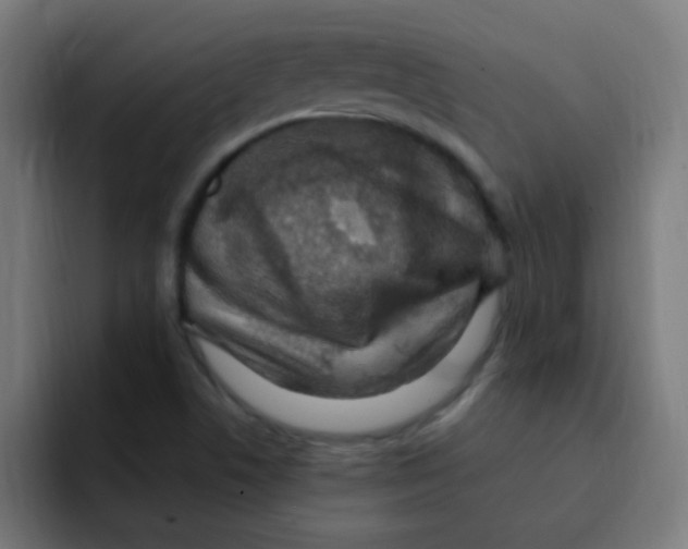 X0000092031506200710041052