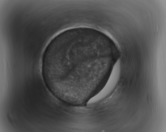 X0000092031508200710041052