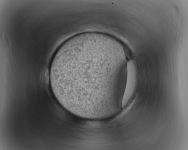 X0000092031509200710041052