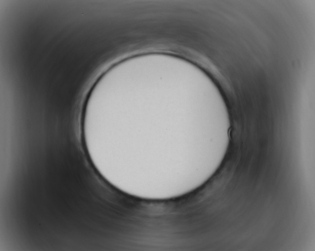 X0000092031512200710041052