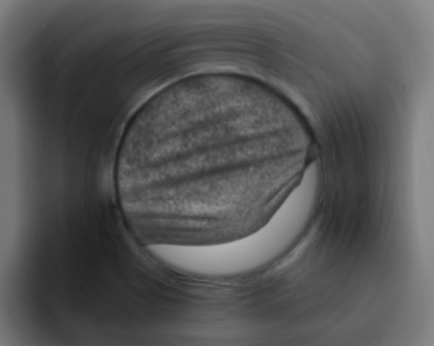 X0000092031513200710041052