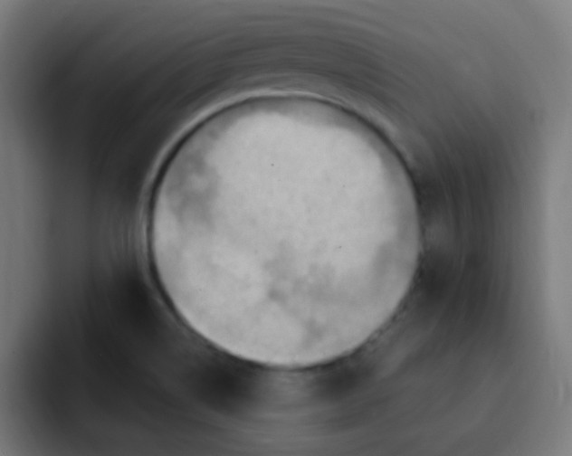 X0000092031514200710041052