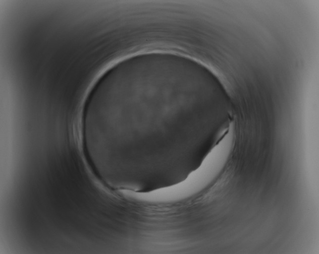 X0000092031515200710041052