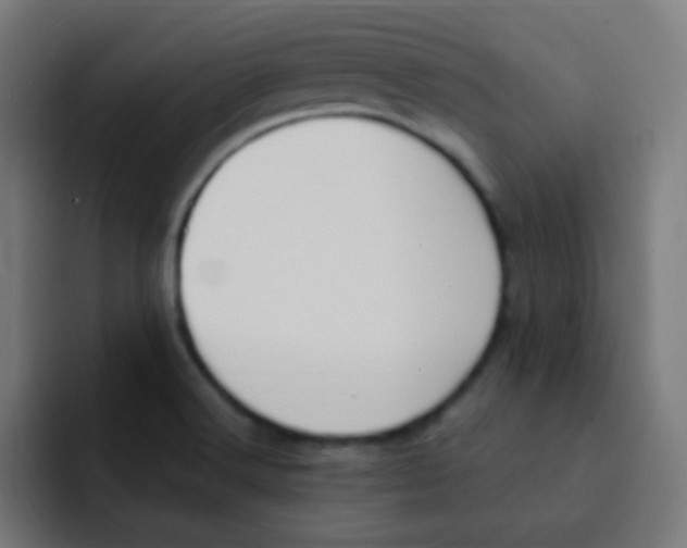 X0000092031516200710041052