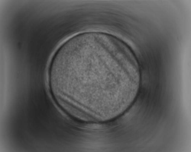 X0000092031517200710041052