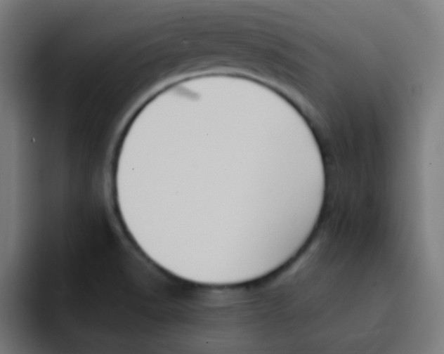 X0000092031518200710041052