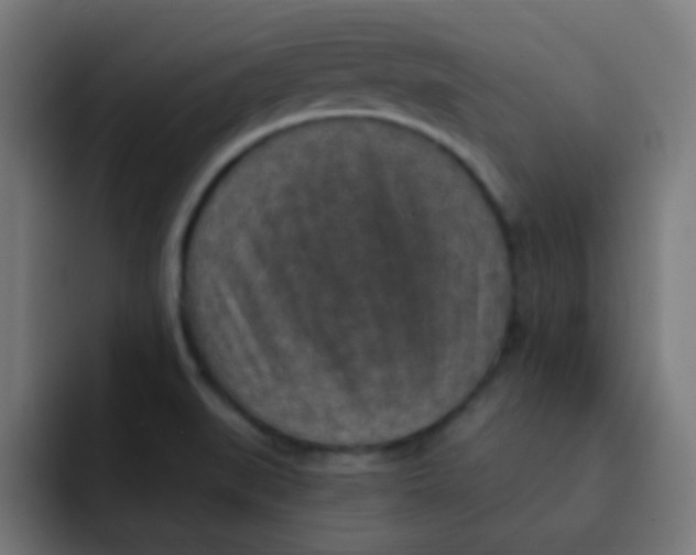 X0000092031519200710041052