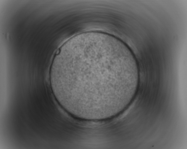 X0000092031521200710041052