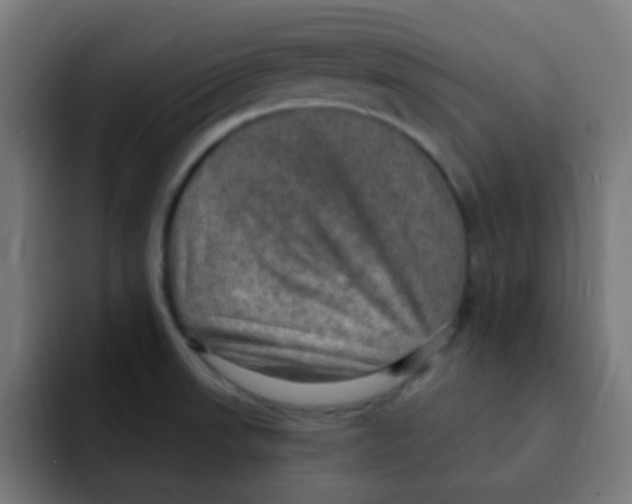 X0000092031523200710041052