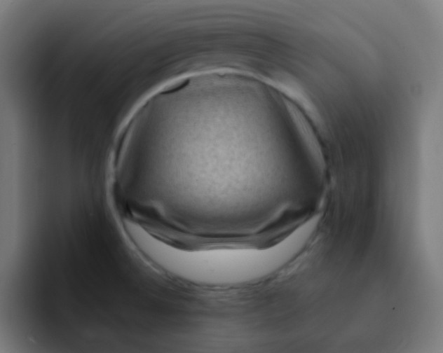 X0000092031524200710041052