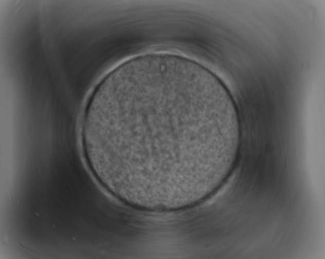 X0000092031525200710041052