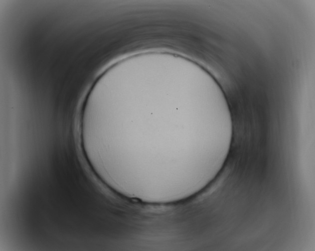 X0000092031526200710041052