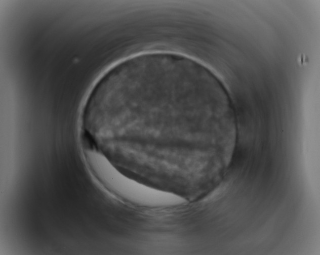 X0000092031527200710041052