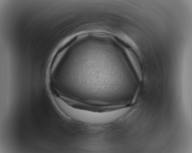 X0000092031528200710041052