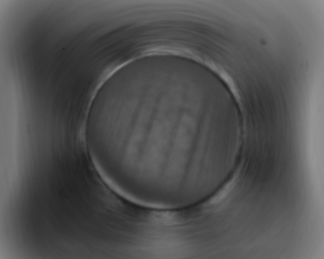 X0000092031529200710041052