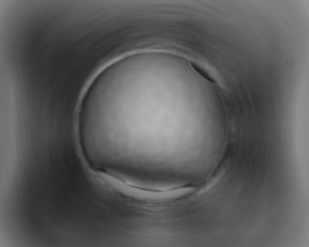 X0000092031530200710041052