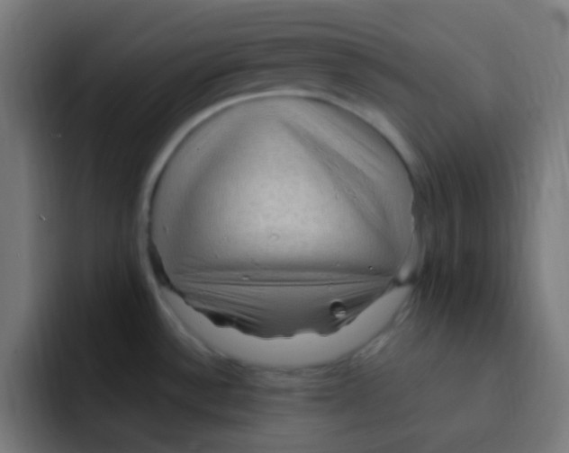 X0000092031532200710041052