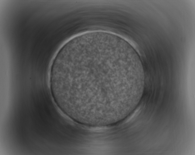 X0000092031535200710041052